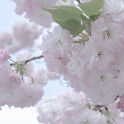 兽设暗黑风格设计兽圈群